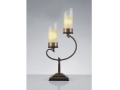 Vendi Bronze Dual Desk Lamp