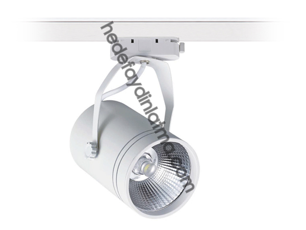 20w Ray Tipi Led Spot