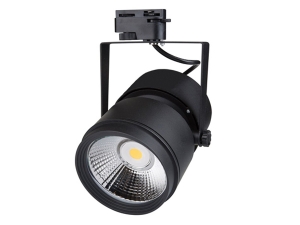23w Ray Tipi Led Spot