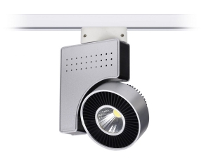23w Ray Tipi Led Spot