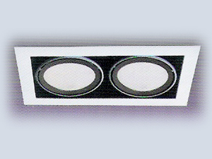 2'li Metal Halide