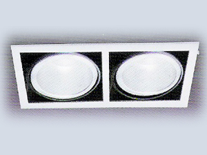 2'li Metal Halide