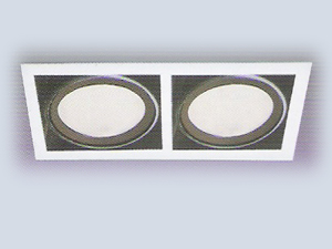 2'li Metal Halide