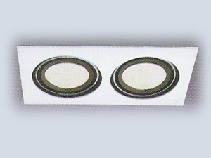2'li Metal Halide