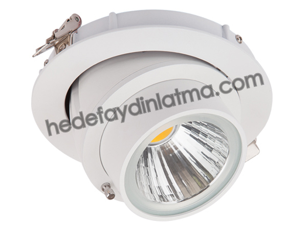 30w Cob Led Downlight Armatür