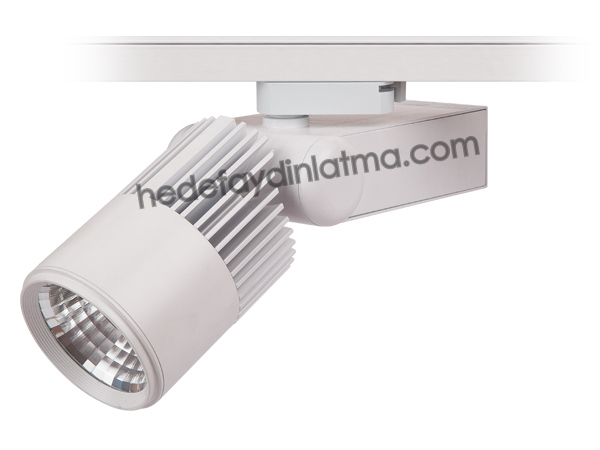 30w Ray Tipi Led Spot
