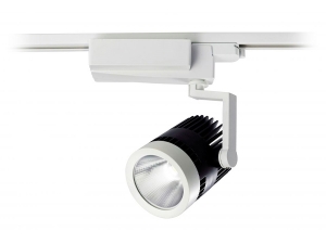 40w Ray Tipi Led Spot