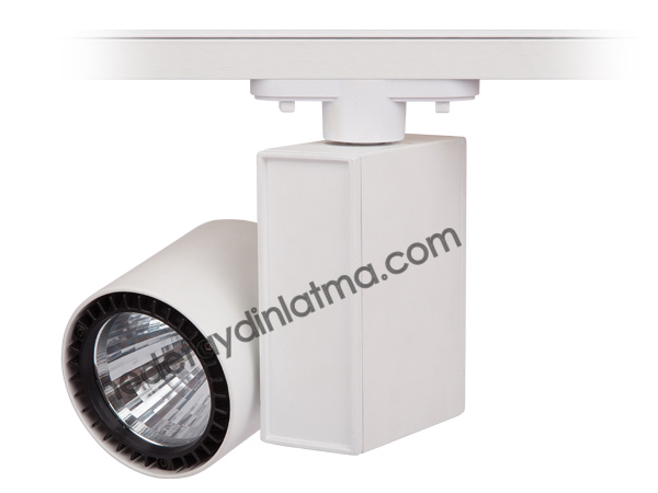 40w Ray Tipi Led Spot