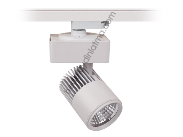 40w Ray Tipi Led Spot