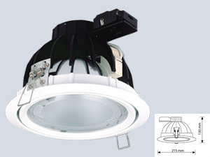 Alüminyum Metal Halide Downlight