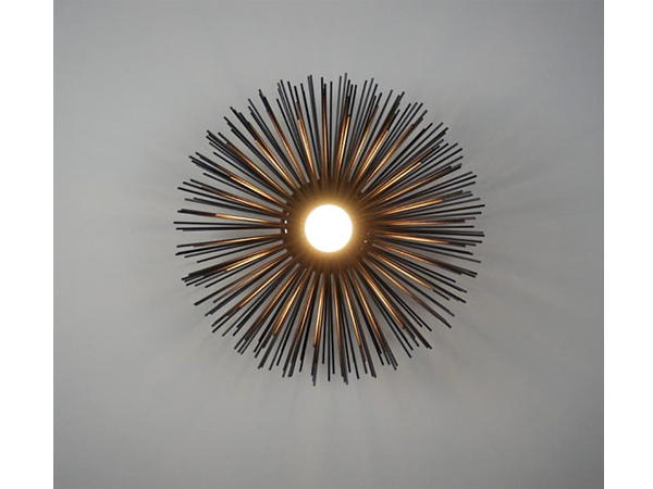 Black Urchin Sconce Lighting