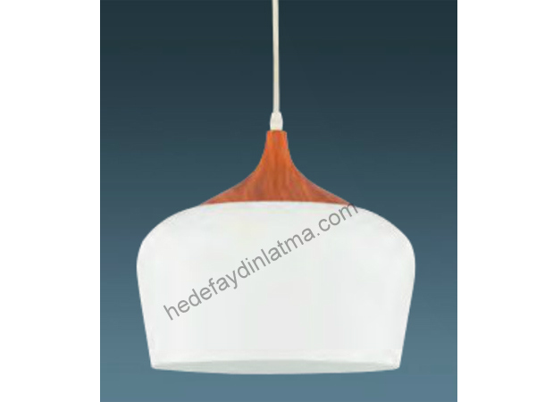 Dished White Metal Pendant