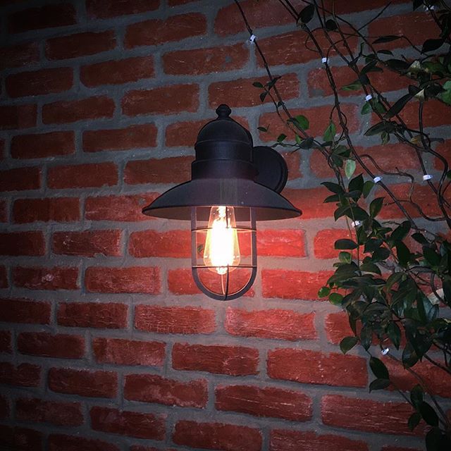 Cage Classic Wall Scone
