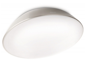 Chrome Oval Ceiling Lighting