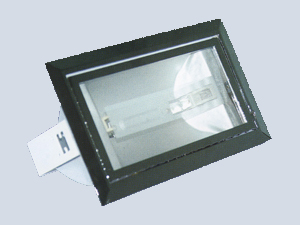 Metal Halide Rx7s  Armatür