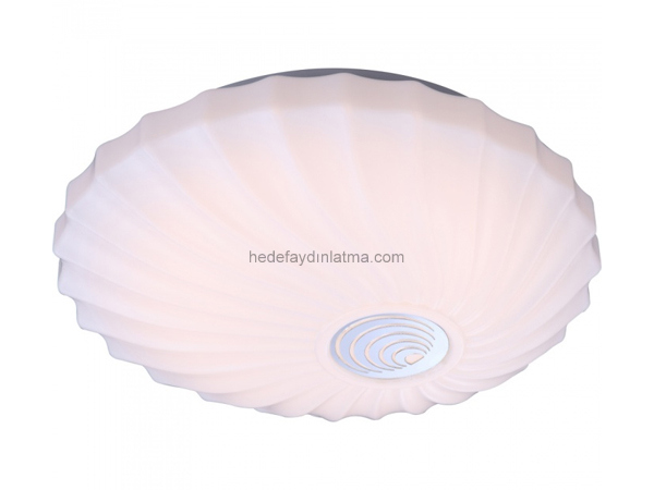 Midye Modern Ceiling Armature