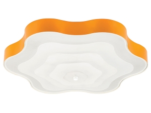 Orange Flower Modern Ceiling Lighting