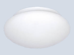 Oval Beyaz Büyük Tavan aydınlatma