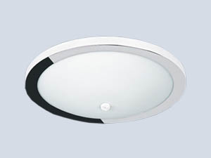 Oval Küçük Tavan aydınlatma