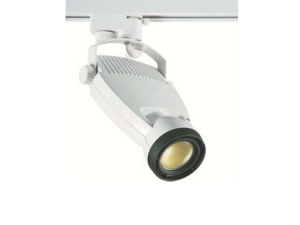 Ray Spot 10w