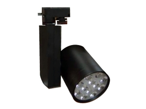 Ray Spot 12x1w