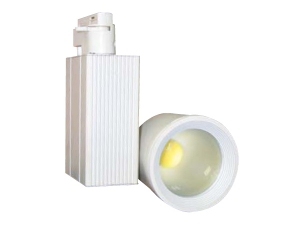 Ray Spot 1x20w