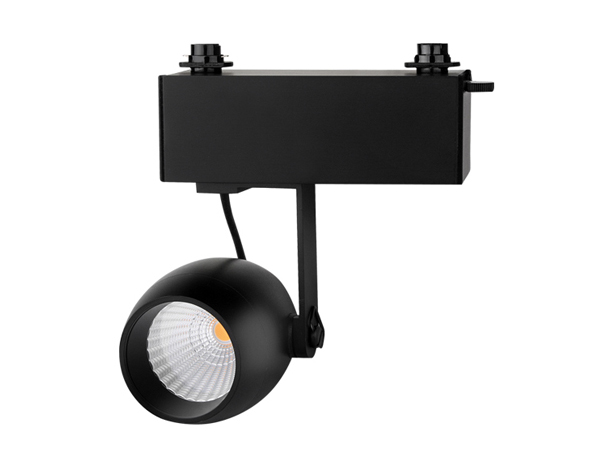 Ray Tipi Siyah Led Spot 10w