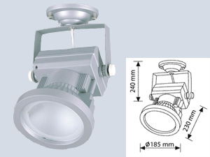 Rx7s Metal Halide