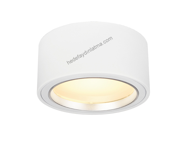 Cylinder Grey Ceiling Armature