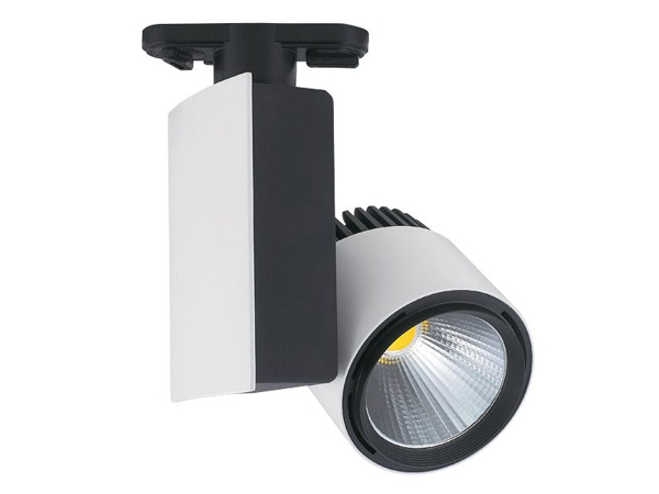 Siyah Beyaz Ray Tipi 45w