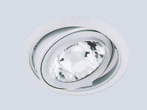 Tekli Downlight Armatür