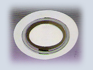 Single Metal Halide Downlight
