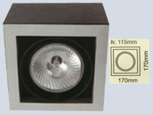 Tekli Par30 1x75w Spot