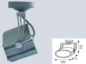 Toledo Metal Halide
