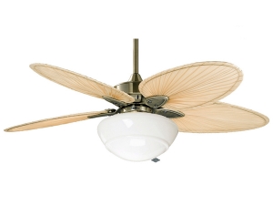 Windpointe 132 Cm. Gerçek Palmiye Yaprağı FP7500AB_22565